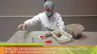 3M™ Petrifilm™ Salmonella Express System 1 [upl. by Gautious585]