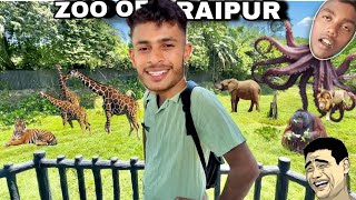 🐅🐅🐅 JUNGAL SAFARI ZOO TOUR VIDEO  BAP RE MAJA AGAYA 🥰 [upl. by Rfinnej]