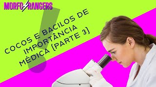 Cocos e Bacilos de importância médica Parte 3 [upl. by Joung]