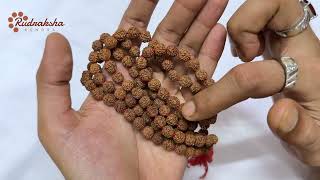 Regular Rudraksha Mala 8mm  9987835118 [upl. by Ecnedurp]