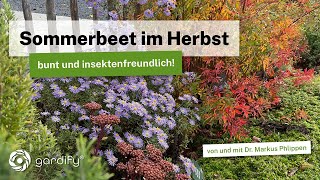 Sommerbeet im Herbstkleid ideal für sonnige trockene Standorte bunt und insektenfreundlich [upl. by Annice802]