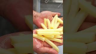 PRIX LIGNE DE PRODUCTION DE FRITES FRAÎCHES frites [upl. by Aicinad929]