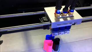 CreatBot DE Plus Triple Color Printing [upl. by Enitsed]