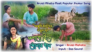 Anjali Mahato Jhumur Gaan  ফলাবো বিলে সোনার ধান  anjalimahtonewvideo [upl. by Tiebout301]