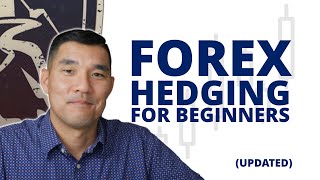 Forex Hedging For Beginners Updated [upl. by Wilkey563]