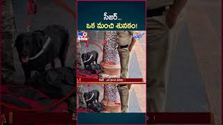 iSmart News  సీజర్ ఒక మంచి శునకం  Police Dog  TV9 [upl. by Gerardo670]