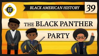 The Black Panther Party Crash Course Black American History 39 [upl. by Nerra]