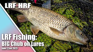 LRF Fishing BIG Chub on Lures [upl. by Norry]