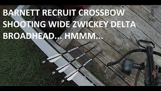 Barnett Blackcat RECRUIT ARROW Zwickey Delta Broadhead [upl. by Ataeb]