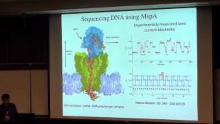 Aleksei Aksimentiev quotNanopore Sequencing of DNAquot [upl. by Nythsa]