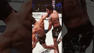 ko knockdown knockoutking knock fighting ufc bellator onechampionship muaythai boxing ir [upl. by Ellehcan425]