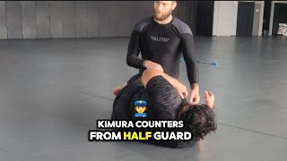 Kimura Killer Top Half Guard 3 options [upl. by Annaik376]