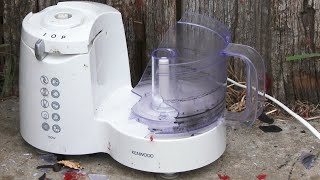 Smashing a Kenwood FP185 Food Processor [upl. by Metabel654]