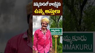 నిమ్మకూరు లో బాలకృష్ణ ఆస్తులు  Balakrishna Assets in Nimmakuru Village  NTR  Tollywood Nagaram [upl. by Lakim383]