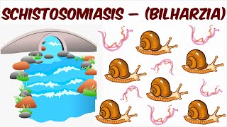 Schistosomiasis – Bilharzia [upl. by Floris]