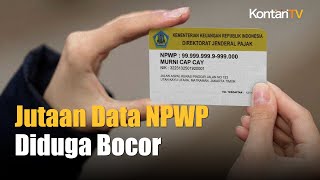 Jutaan Data NPWP Diduga Bocor Termasuk Jokowi amp Sri Mulyani  Kontan News [upl. by Allianora]