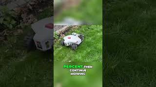 How the Lubo Robot Mower Charges Itself Automatically [upl. by Mcloughlin132]