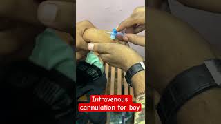 Intravenous cannulation  cannula trending shorts hospital doctor SMpharmacy plz follow [upl. by Kata218]