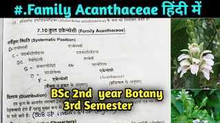 Family Acanthaceae in hindi  BSc 2nd year Botany 3rd Semester [upl. by Packton]