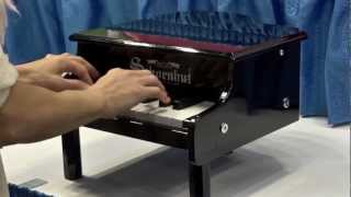 Schoenhuts Mini Grand Piano [upl. by Aiekat]