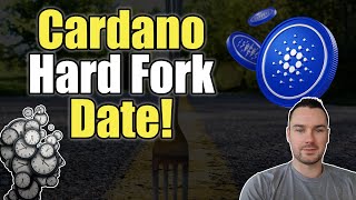 Cardano Chang Hard Fork Updates and Dates [upl. by Coltin]