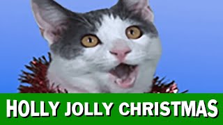 JINGLE CATS quotHolly Jolly Christmasquot [upl. by Nodanrb711]