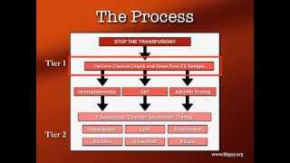 Transfusion Reactions Part 1 [upl. by Tammy]