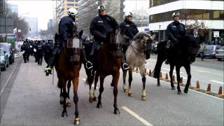 Polizeipferde im Einsatz [upl. by Gavan628]