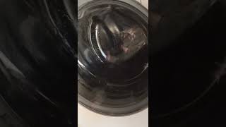 Gorenje W72Y2 test rinse [upl. by Esom]