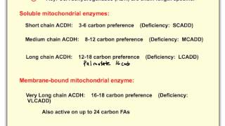 Beta Oxidation of Fatty Acids [upl. by Hunfredo]