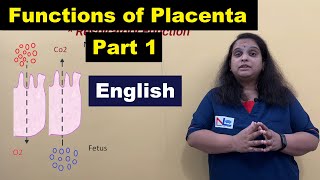 Functions of Placenta Part1 in English  Respiratory amp Excretory Functions  Nursing Lecture [upl. by Anisirhc195]