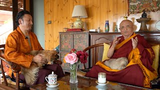 Interview with Chokyi Nyima Rinpoche by Khenpo Tsering Tashi from the Rongsom Channel [upl. by Aikit]