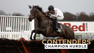 2023 UNIBET CHAMPION HURDLE CONTENDERS  CHELTENHAM FESTIVAL [upl. by Pauline]