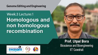 Lec 6 Homologous and non homologous recombination [upl. by Ayatnohs]