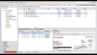 OpenKM comparison between two versions of a document [upl. by Shiff755]