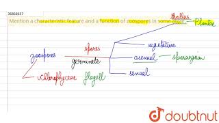 Mention a characteristic feature and a function of zoospores in some algae [upl. by Norina881]