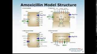 Pediatric PBPK Modeling  Special Considerations in GastroPlus [upl. by Retepnhoj392]