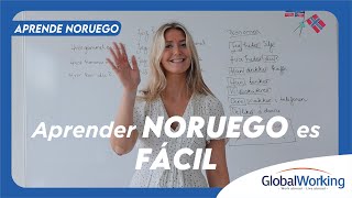 Aprende noruego con Global Working  Clase 0 [upl. by Ahtilat]