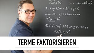 Wie faktorisiere ich Terme  mehrgliedrige Terme  Herausheben  Faktorisieren [upl. by Eirellam]