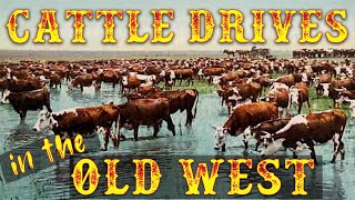 Cattle Drives in the Old West [upl. by Airreis]