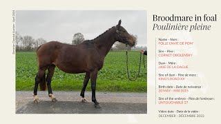 Lot 16  Broodmare Folle Envie de Pom by Cornet Obolensky in foal to Untouchable 27 [upl. by Lynett]