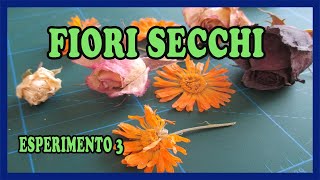 COME ESSICCARE I FIORI CON IL GEL DI SILICE  TUTORIAL 3 [upl. by Meryl]