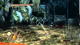 Dark Souls 2  Crystal lizard in Huntsmans Copse as any class [upl. by Zedekiah]