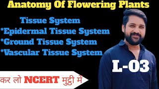 Anatomy Of Flowering Plants Class 11L03Tissue SystemEpidermal Tissue SystemShadab [upl. by Birk]