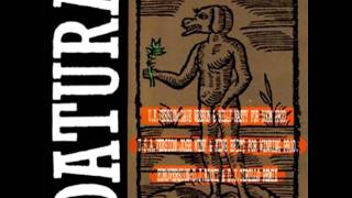 Datura  Yerba Del Diablo Part II Remix The Winking Remix [upl. by Egag541]