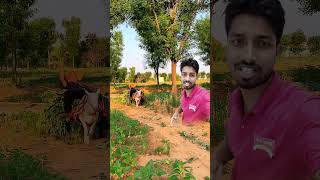 fbreelsvideo comedy 60xzoom comedyfilms viralreelsfb funny zoomlens comedymovies farming [upl. by Yornek]