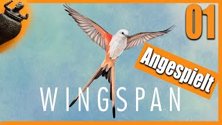 Wingspan  Flügelschlag PC Game  Angespielt  Deutsch Gameplay angespielt German [upl. by Byrdie]