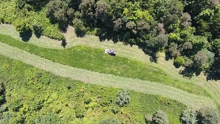 Bush Hogging Overgrown Trails and Field  So Satisfying  Plus Surprise Snake Nest [upl. by Marden]