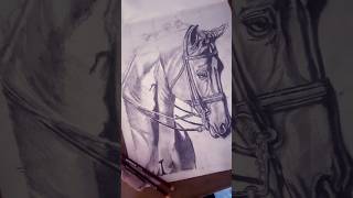 Horse drawing art pencilsketch horsedrawing artist artwork drawing sketch shorts short [upl. by Mace]