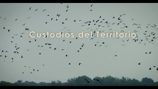 Documental Custodios del Territorio 2017 [upl. by Suissac]